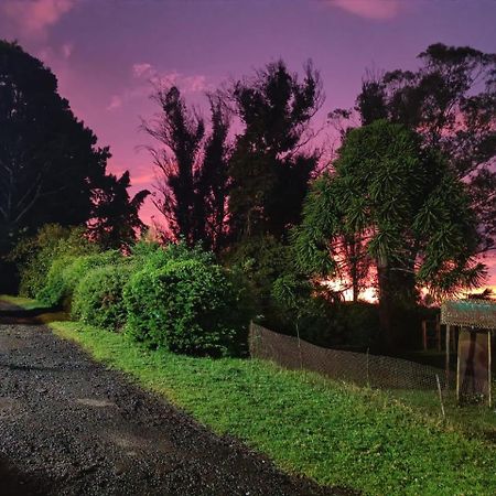 Natures Retreat Hotels And Resorts Ooty Exterior foto